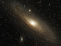 M31